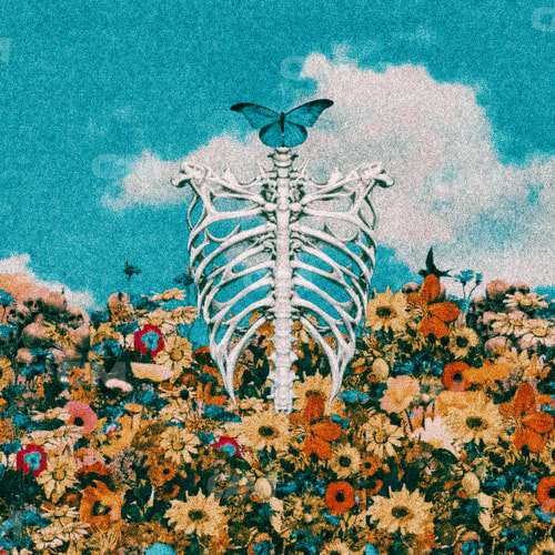 Ribcage