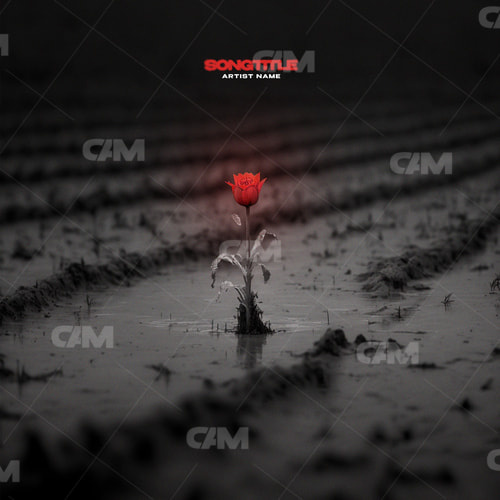 Rose In The Mud