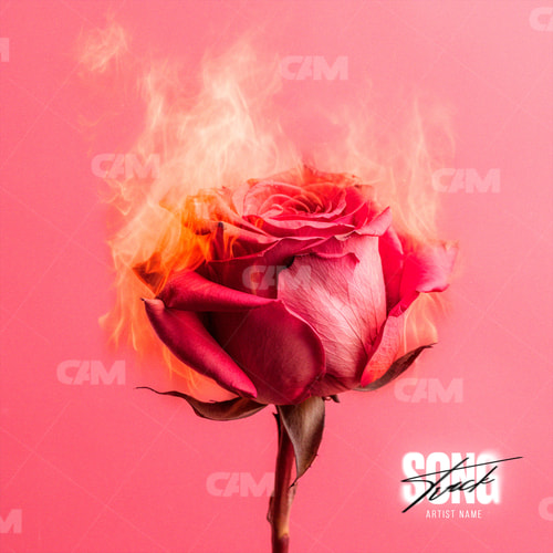 Rose On Fire