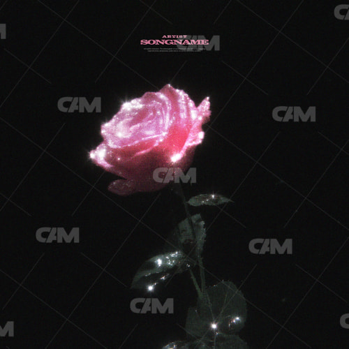 Shiny Rose