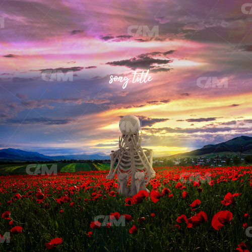 Skeleton On Meadow 2
