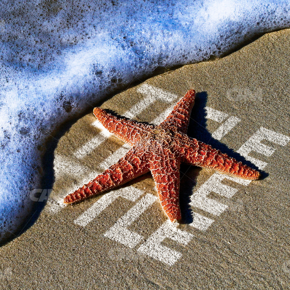 Starfish