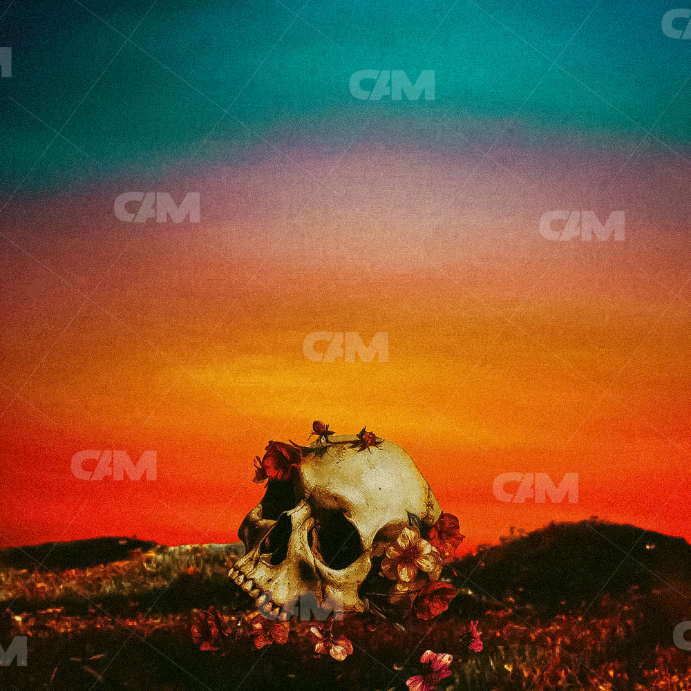 Sunset Skull