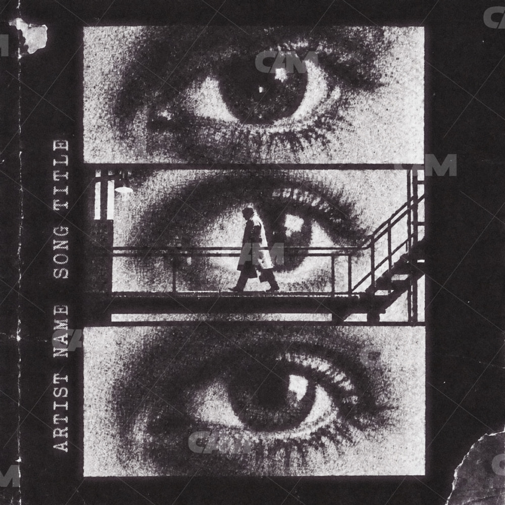 Surveillance