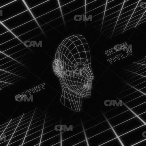 Vaporwave Face B&w