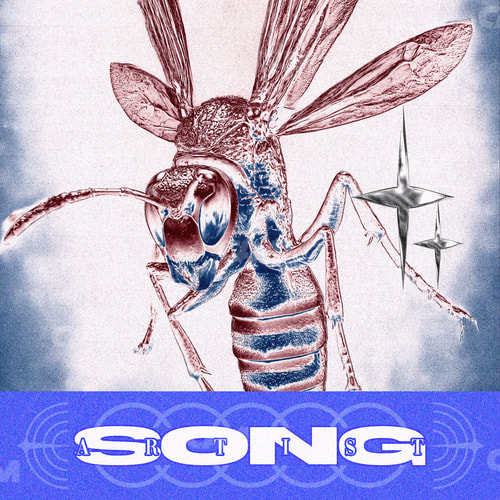 Wasp