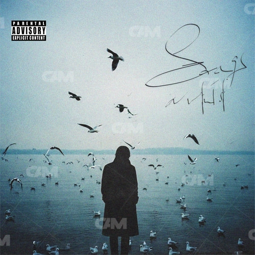 Wings Of Solitude