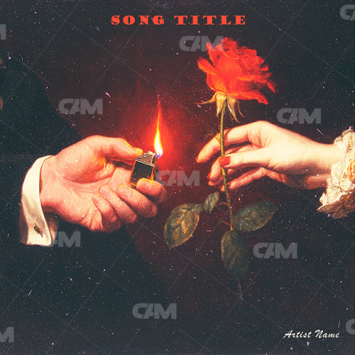 Woman Hand Holds Red Flower