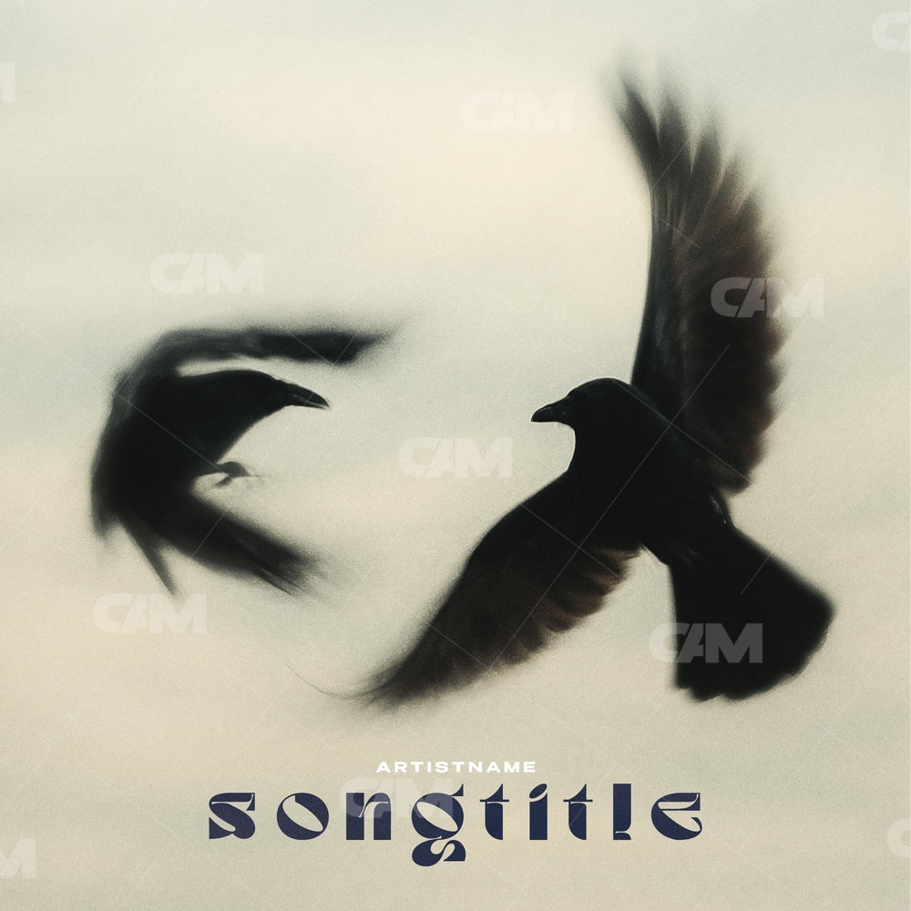 The Crows Are Circling