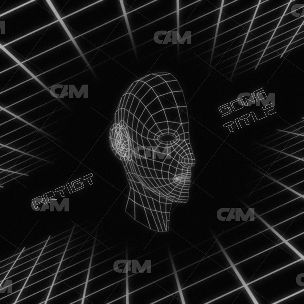 Vaporwave Face B&w