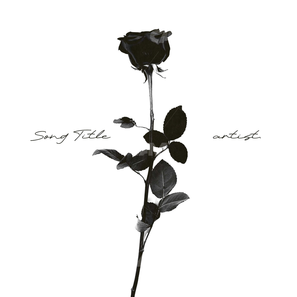 Vintage Chrome Rose
