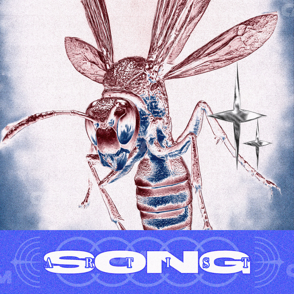 Wasp