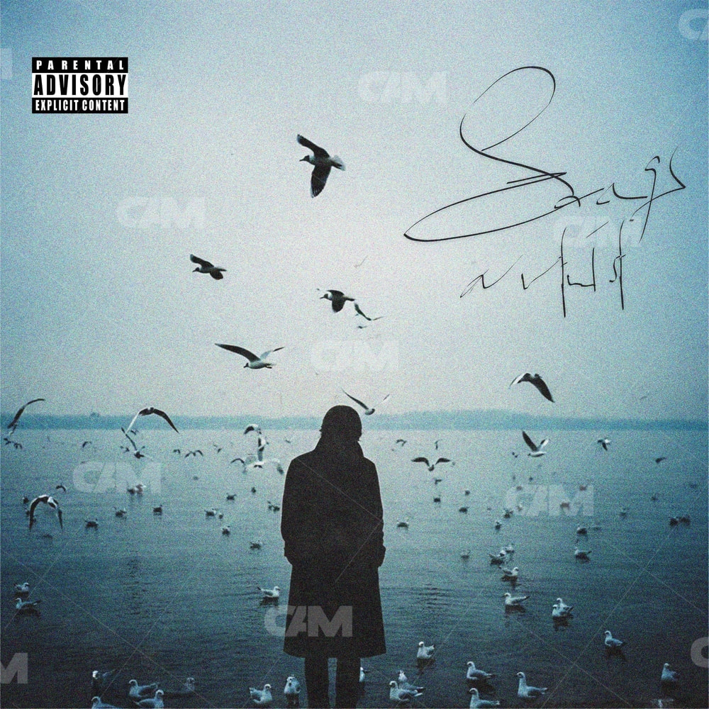 Wings Of Solitude