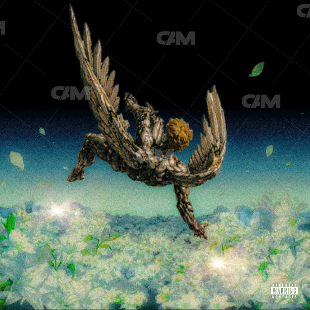 Withered Grace (angel Fall)