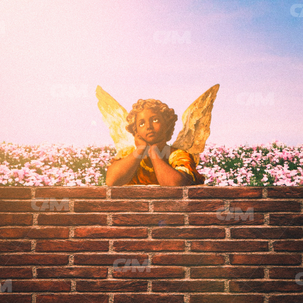 Wonder