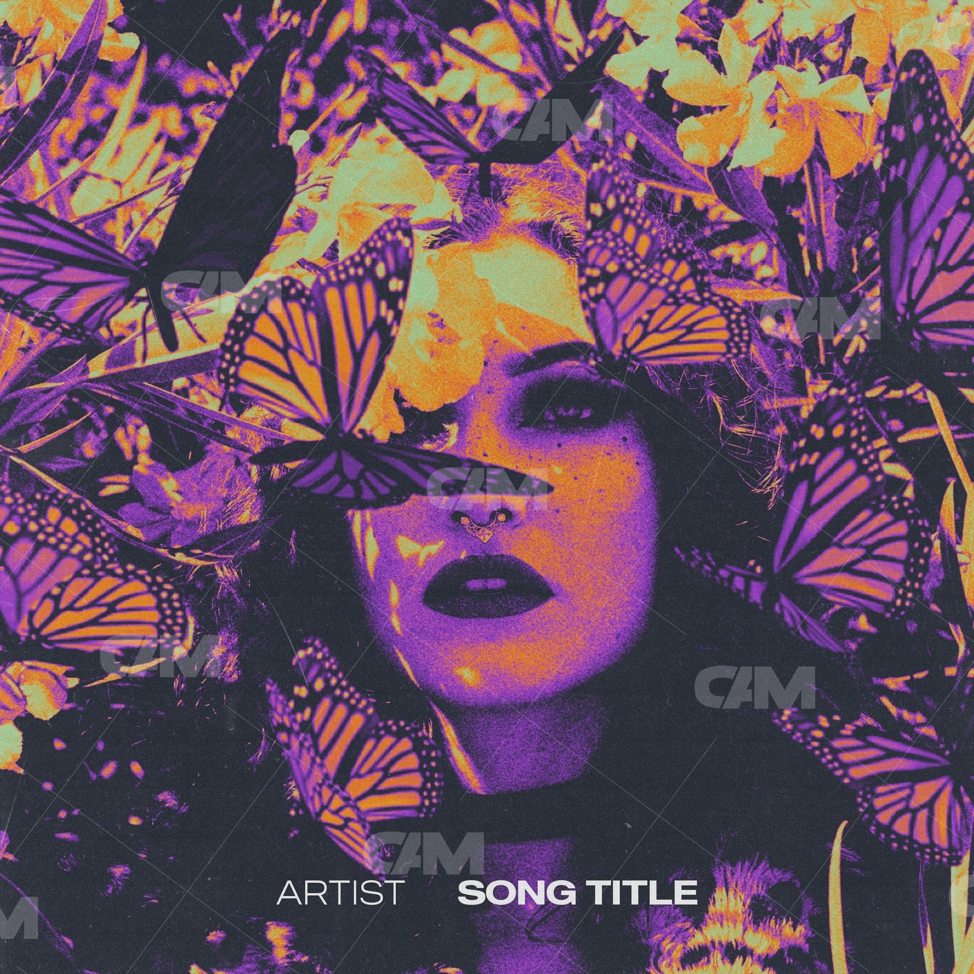 Butterfly Girl Ii Cover Art Market